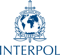 Interpol name match search